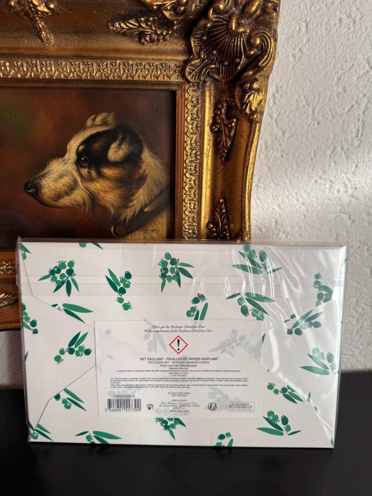 Dior Papier Parfumé Set Exclusif