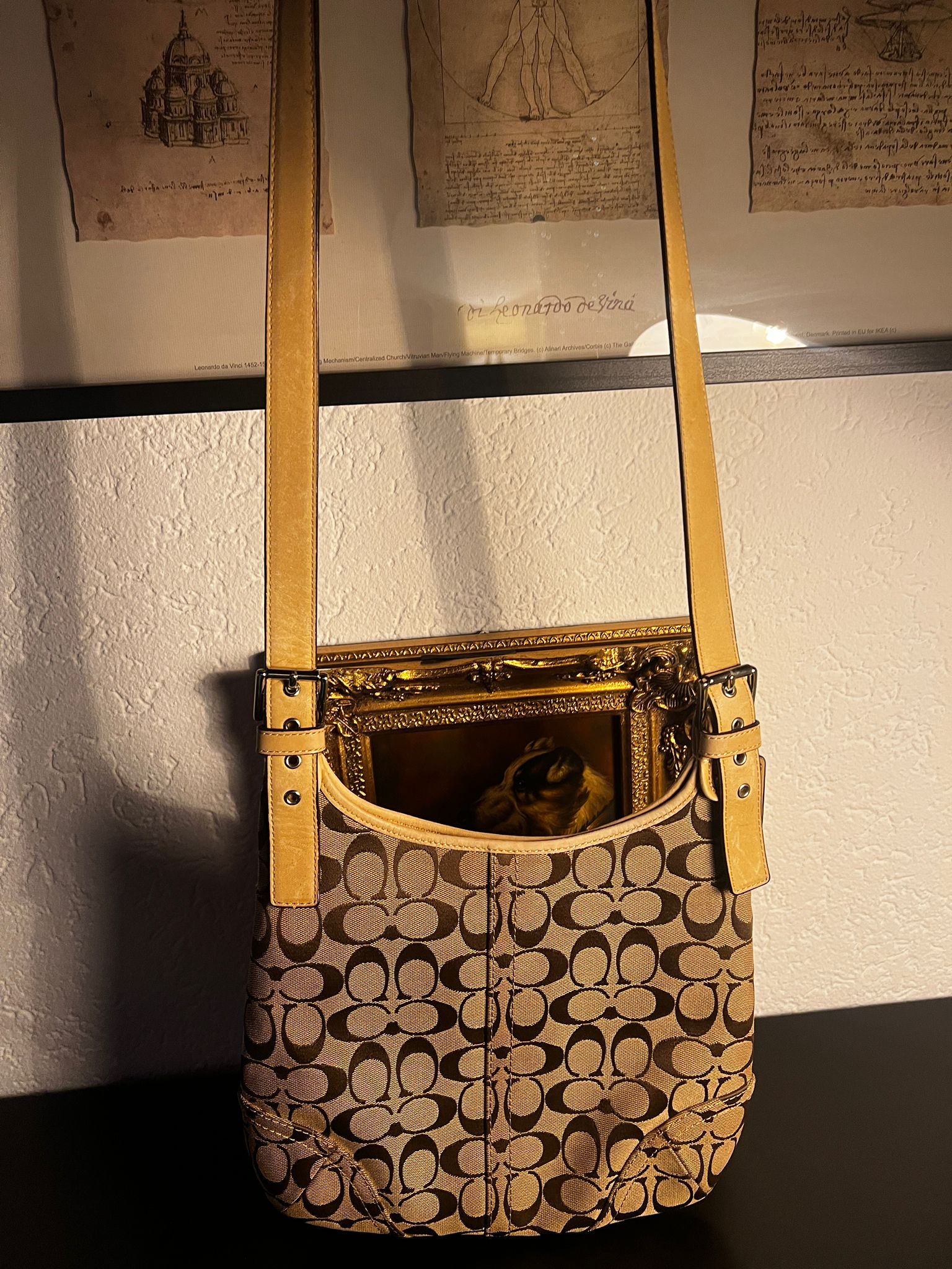 COACH Signature Schultertasche Braun Beige Monogram