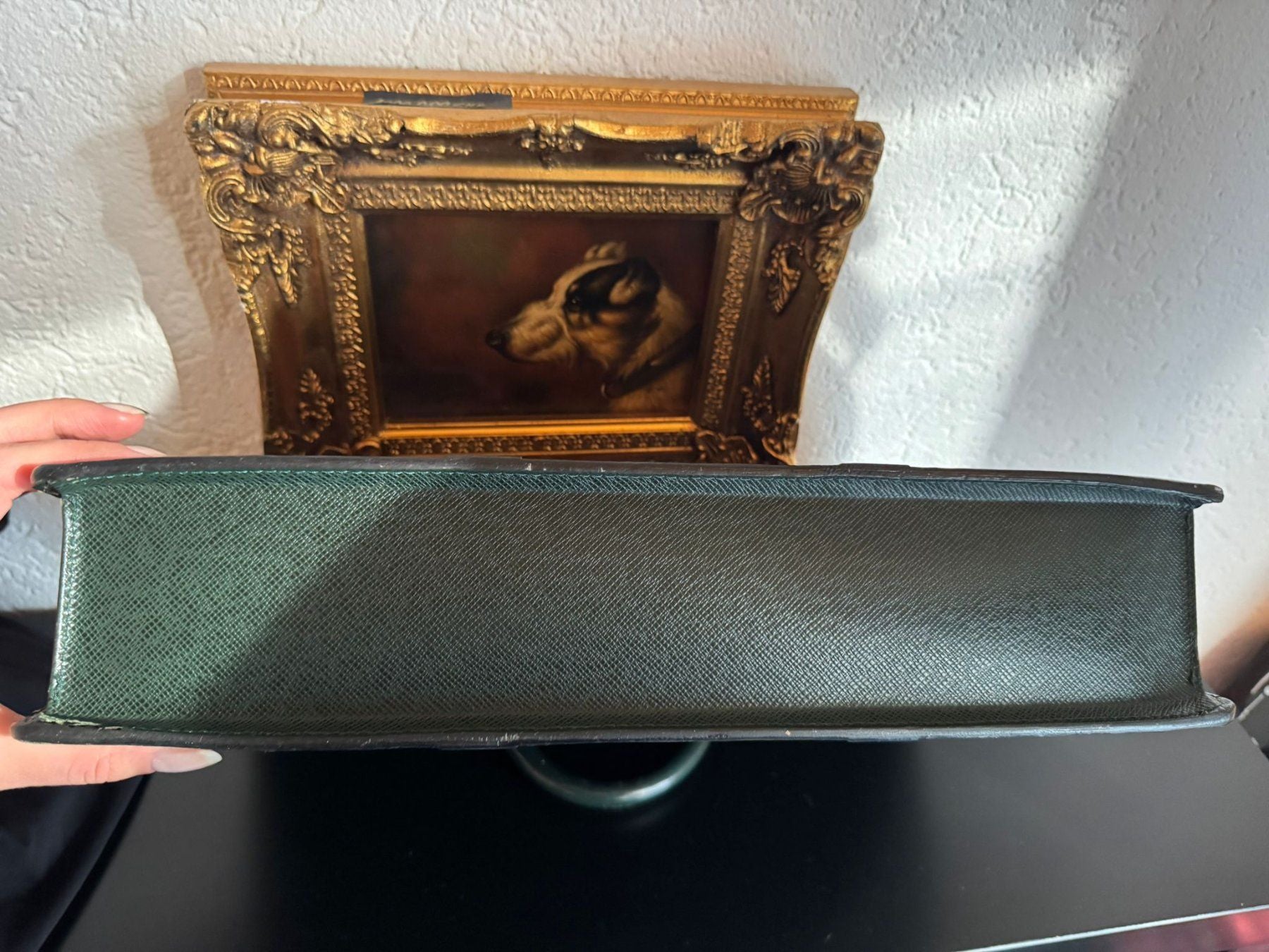 Louis Vuitton Taiga Portodocument Rosan – Epicea Grün